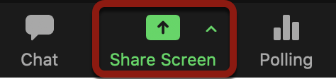 Screenshot of Share Screen button
