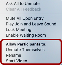 Screenshot of Zoom Participants menu