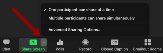 Screenshot of the meeting control for advanced screen sharing options