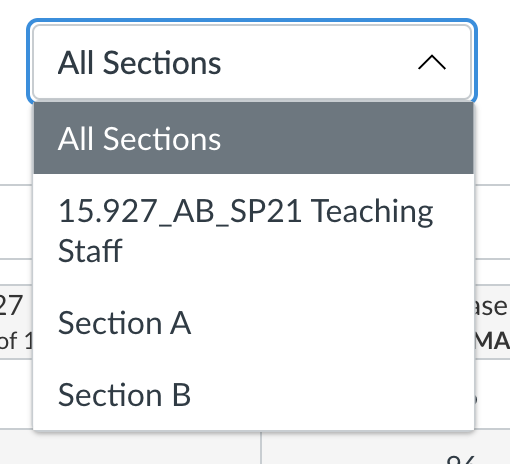 Screenshot of the Filters Menu in the Gradebook