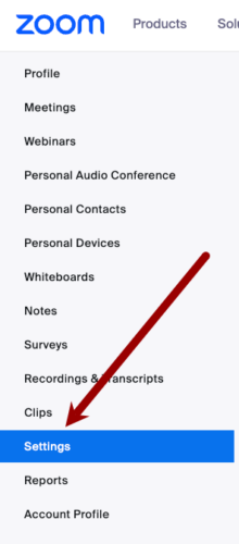 Screenshot of an arrow pointing to the settings tab in the left side of mit.zoom.us